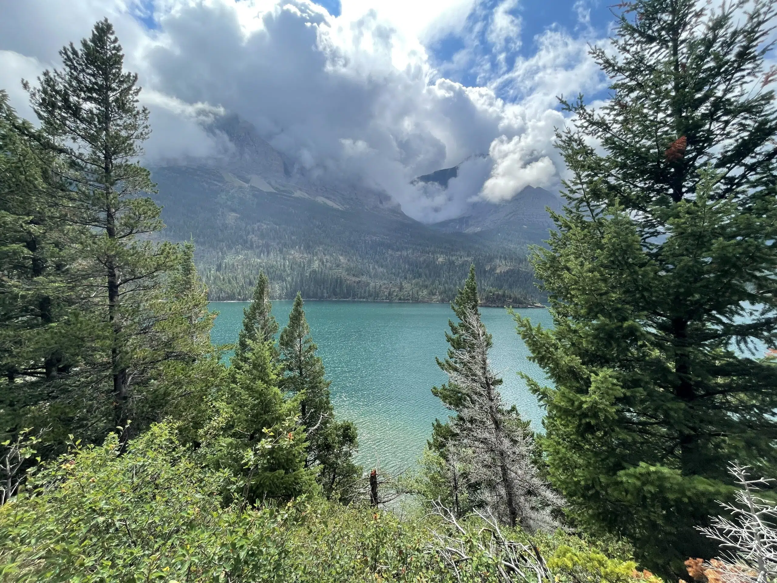 Glacier National Park road trip