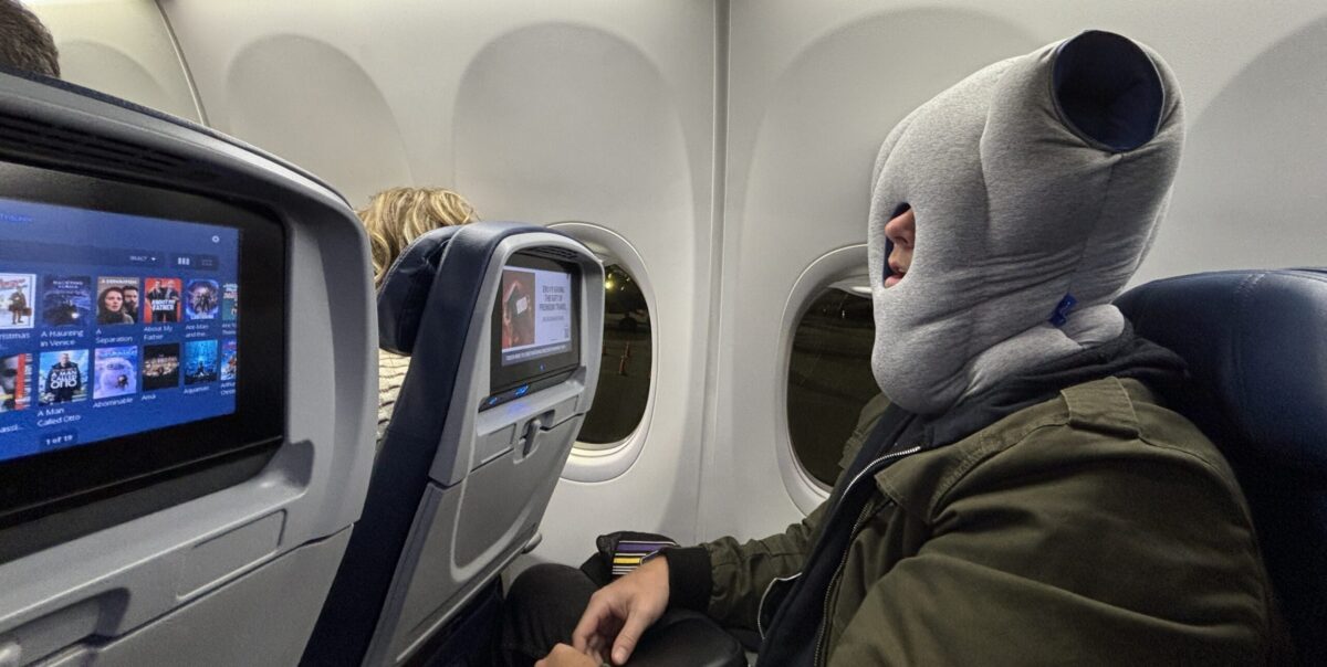 ostrich pillow