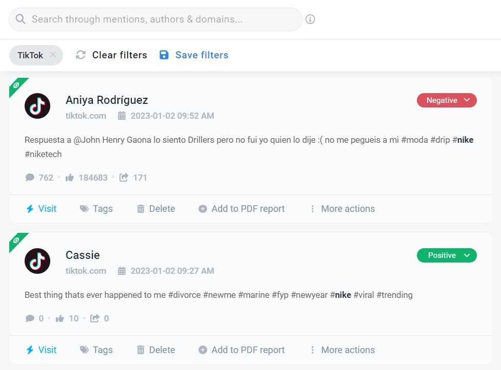 TikTok mentions detected by the Brand24 tool